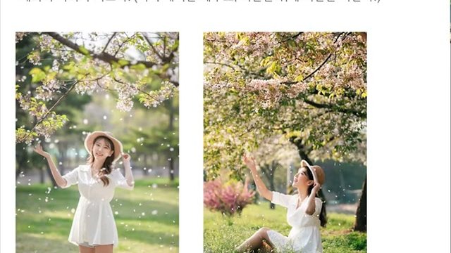 벚꽃 아래에서 촬영한 인물사진 예시