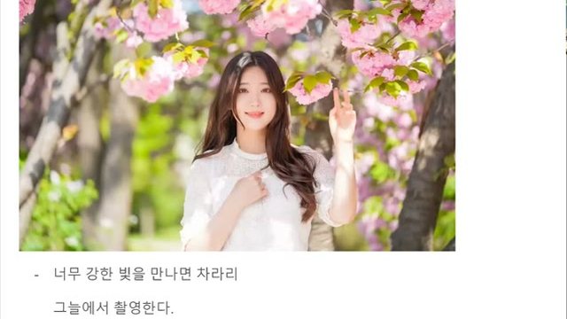 그늘에서 촬영한 벚꽃 인물사진